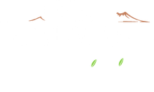 Nero Vesuviano Radici