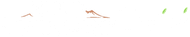 Nero Vesuviano Radici